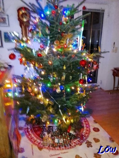 24.12.2025 - Lichterbaum